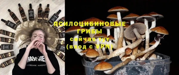 прущие крисы Магадан