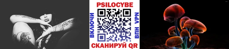 Псилоцибиновые грибы Psilocybine cubensis  Луховицы 