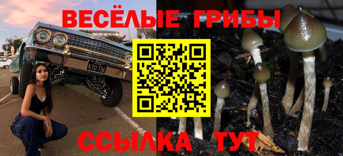 Галлюциногенные грибы прущие грибы  Псилоцибиновые грибы ЛСД  Вход с VPN  Луховицы 