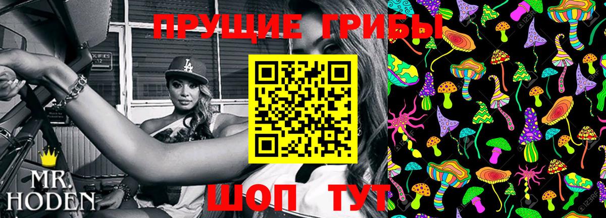 Псилоцибиновые грибы мицелий Луховицы