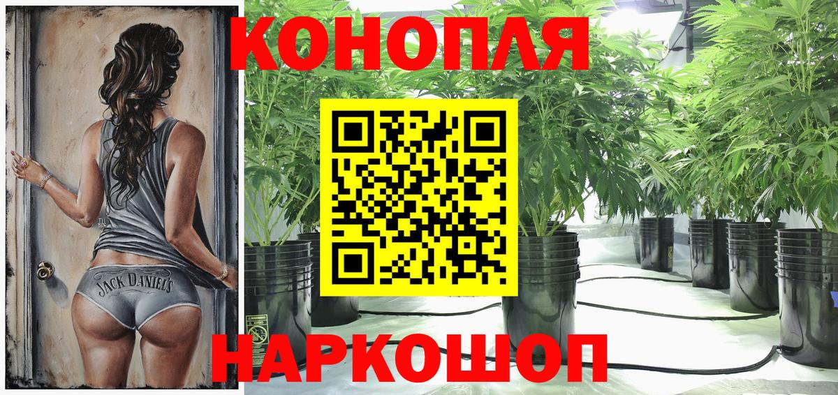 Конопля планчик  Луховицы  Бошки Шишки семена  Канабис индика 